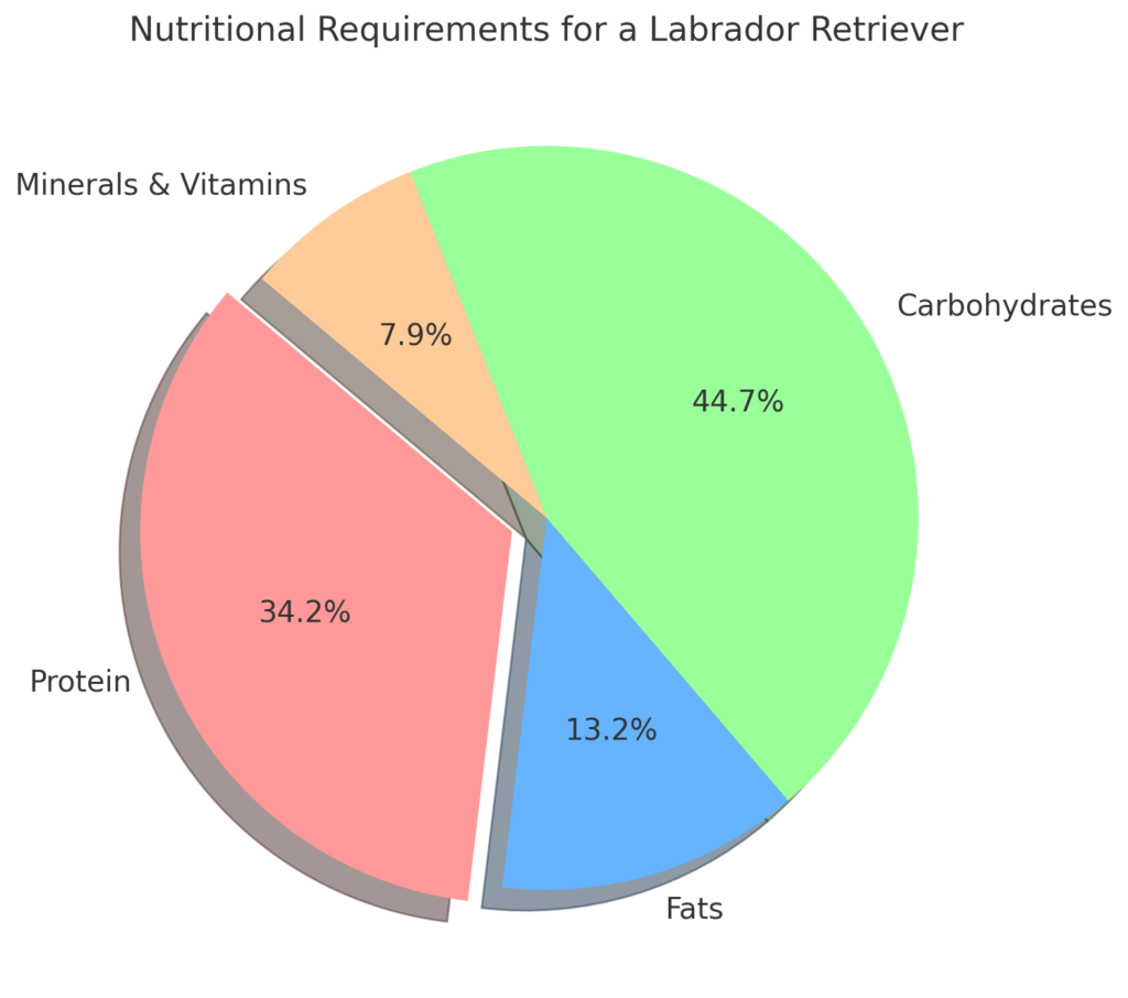 Labrador diet requirement